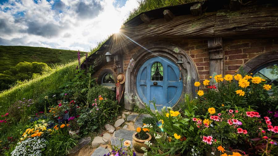 Auckland: Hobbiton & Waitomo Caves Small-Group Tour & Lunch - Inside Waitomo Glowworm Caves