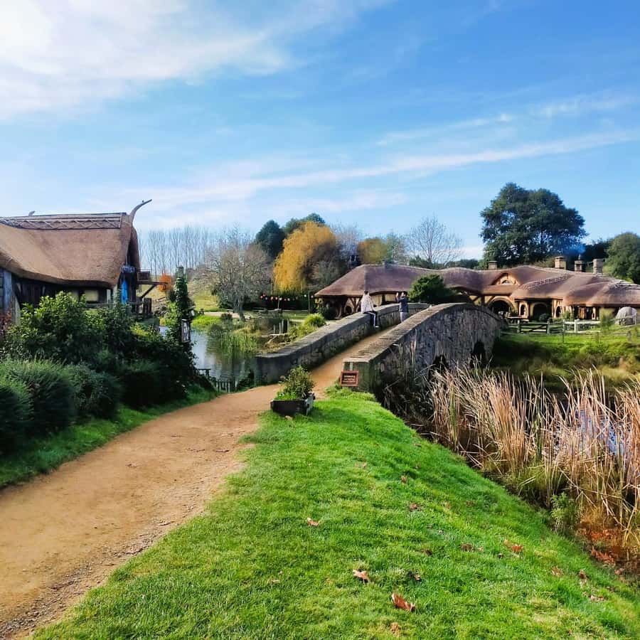 Auckland: Hobbiton & Waitomo Caves Small-Group Tour & Lunch - The ride back to Auckland