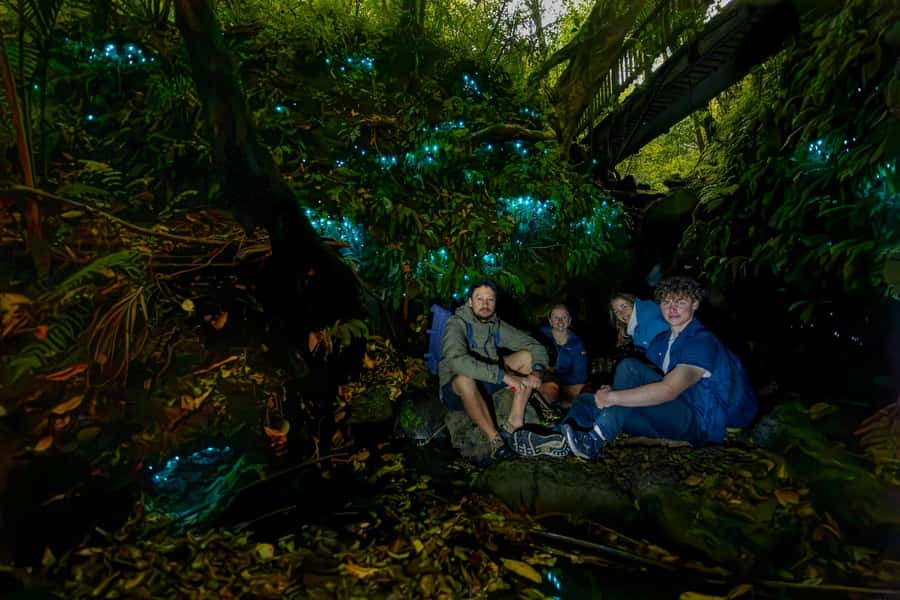 Auckland: Inner-City Glowworm Experience in Ancient Volcano - Seeing New Zealand glowworms without a cave tour