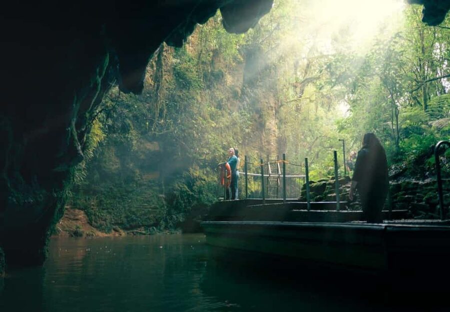 Auckland: One-Way Tour to Rotorua with Waitomo Caves - Why this Auckland to Rotorua transfer works