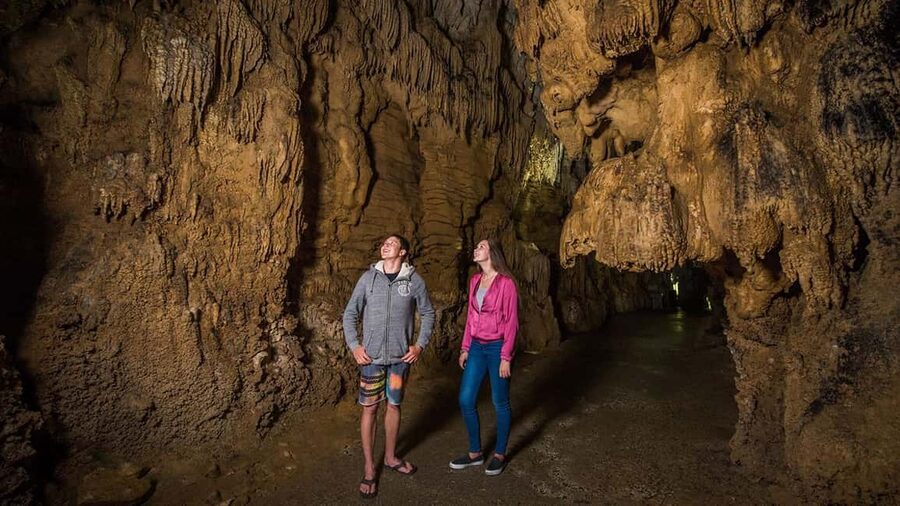 Auckland: One-Way Tour to Rotorua with Waitomo Caves - The road south through Waikato