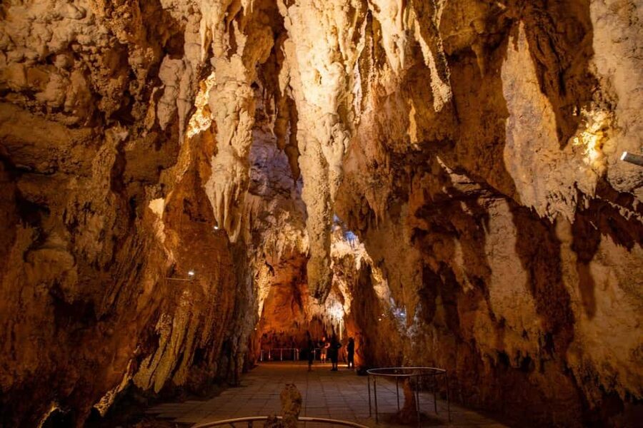 Auckland: One-Way Tour to Rotorua with Waitomo Caves - What $181 includes, and what it does not