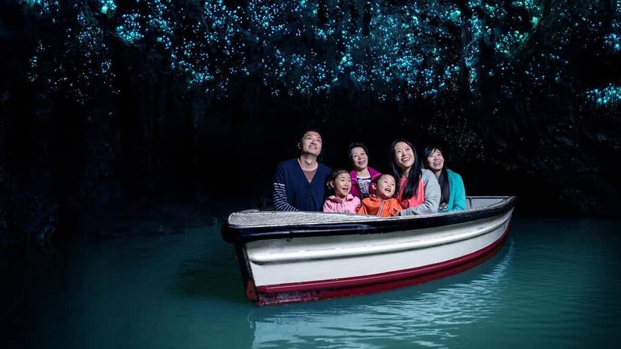 Auckland: One-Way Tour to Rotorua with Waitomo Caves - Small-group comfort and the guide’s role