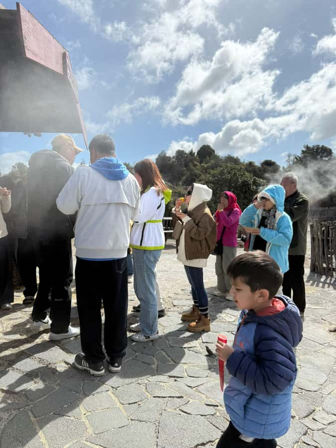 Auckland: Rotorua Māori Village & Waitomo Caves with Lunch - Picnic lunch and the tight midday schedule