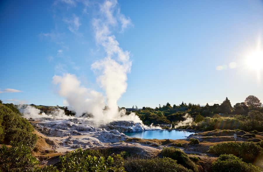 Auckland: Rotorua Māori Village & Waitomo Caves with Lunch - The long road home to Auckland