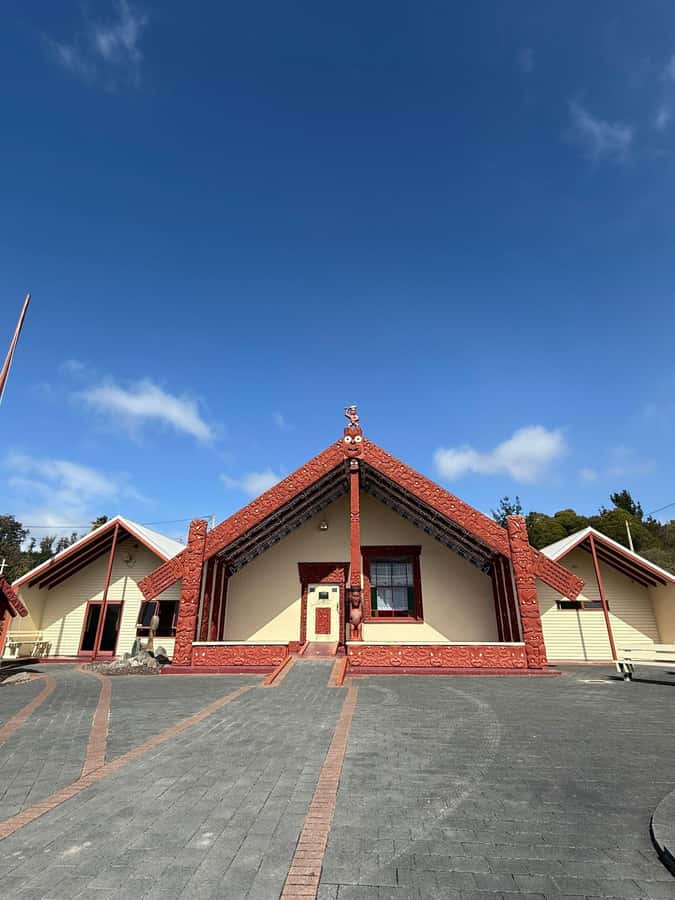 Auckland: Rotorua Māori Village & Waitomo Caves with Lunch - Who should book this experience?