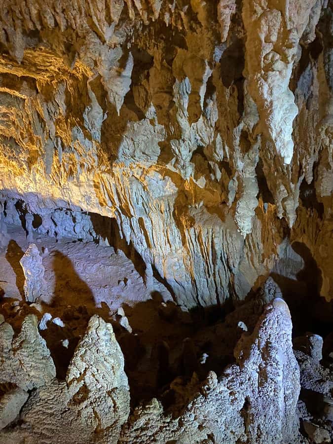 Auckland: Spellbound Glowworm Caves Explorer Tour - Key points at a glance