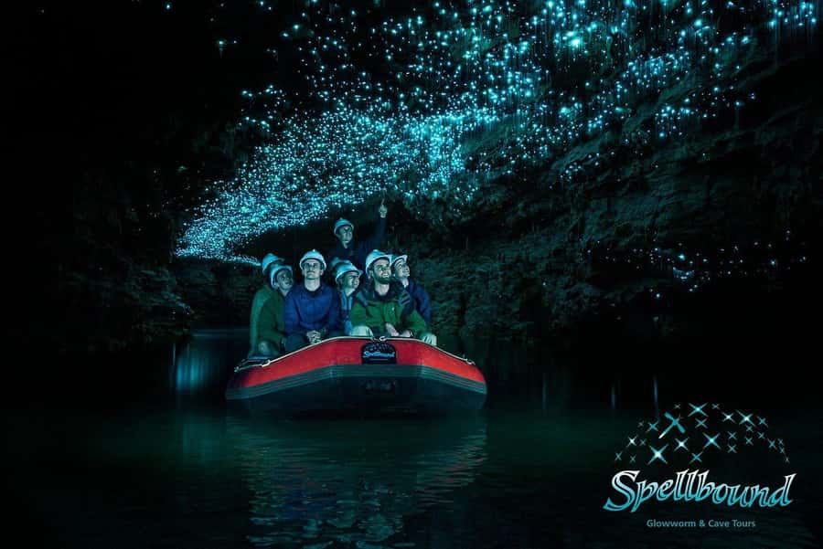 Auckland: Spellbound Glowworm Caves Explorer Tour - Entering the caves on the 180-minute guided visit