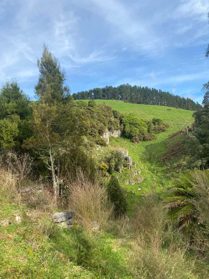 Auckland: Spellbound Glowworm Caves Explorer Tour - Who will enjoy this tour most