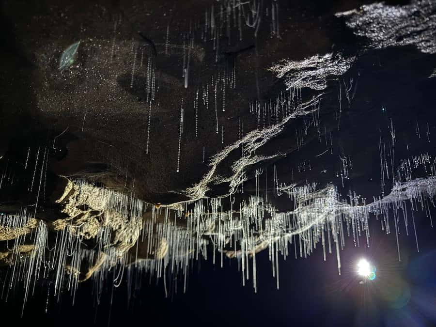 Auckland: Spellbound Glowworm Caves Explorer Tour - The Auckland pickup and the long road south