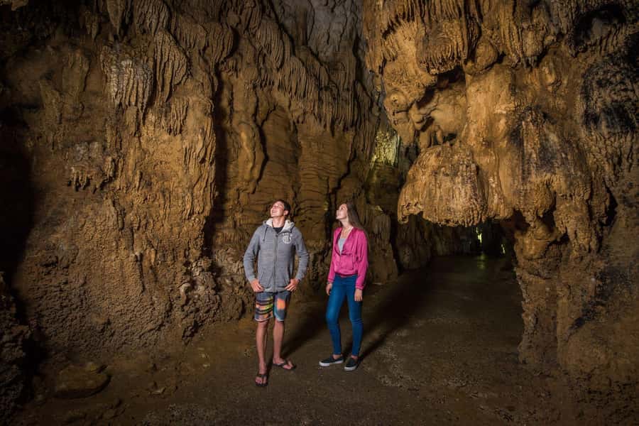 Auckland: Waitomo Caves & Rotorua - Te Puia Small-Group Tour - Should you book the Waitomo and Rotorua tour?