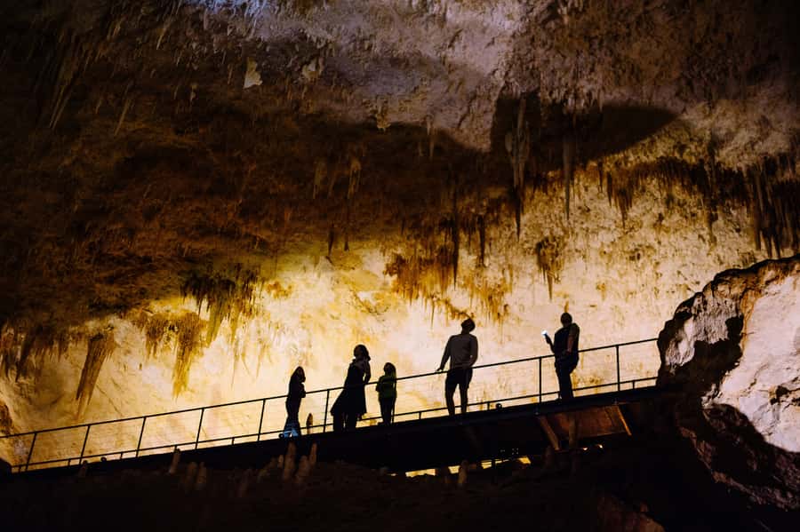 Augusta: Jewel Cave Fully-Guided Tour - Fossils and the cave’s darker story