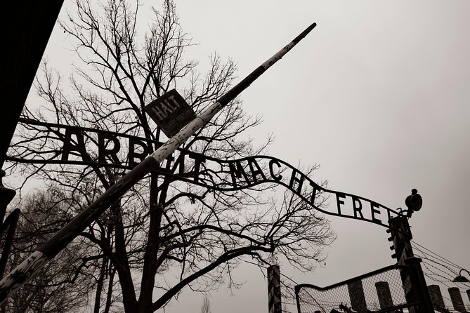 Auschwitz-Birkenau and Wieliczka Salt Mine Day Tour from Krakow with private car - Why this two-stop day works from Krakow