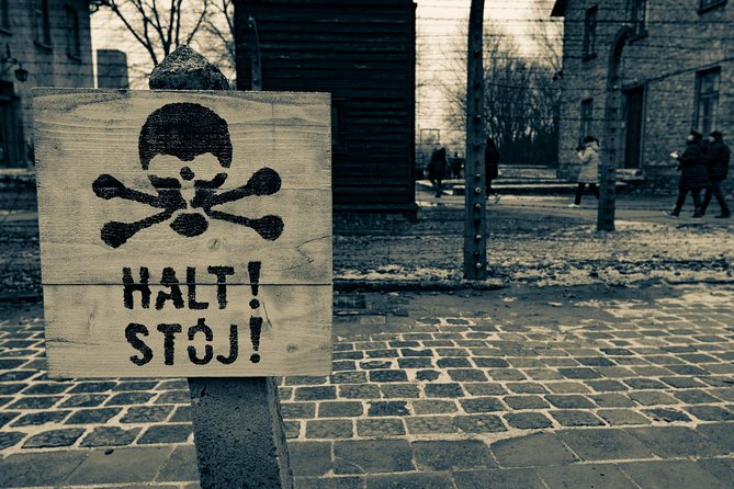 Auschwitz-Birkenau and Wieliczka Salt Mine Day Tour from Krakow with private car - What the private vehicle adds