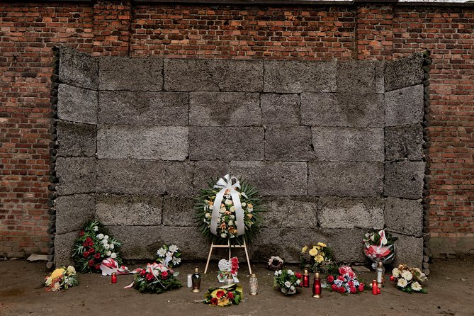 Auschwitz-Birkenau and Wieliczka Salt Mine Day Tour from Krakow with private car - Who should book this day?