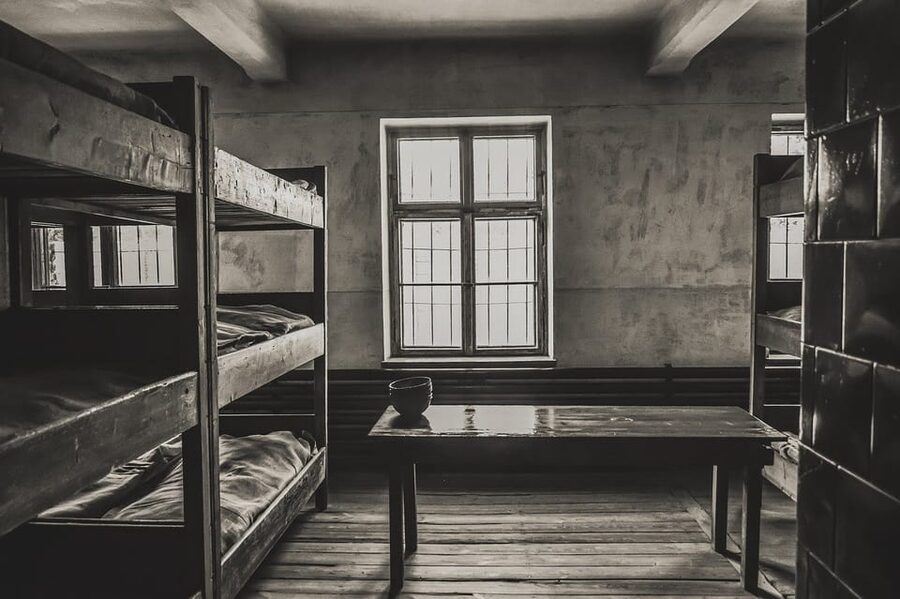 Auschwitz-Birkenau & Salt Mine Tour in One Day from Krakow - The transfer and the value of a professional driver