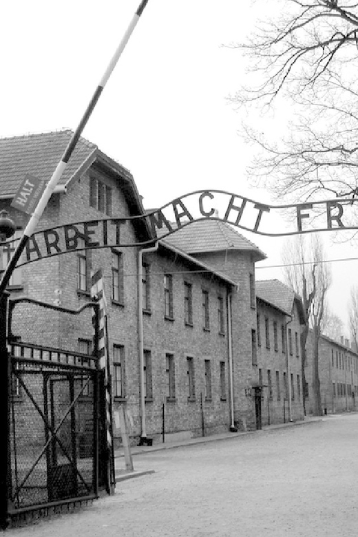 Auschwitz-Birkenau & Salt Mine Tour in One Day from Krakow - How the guides shape the day