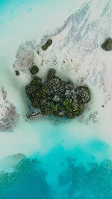 Bacalar & Cenotes: 3 hours kayak rental with snorkeling gear - Helpful instruction from Amir and the local staff