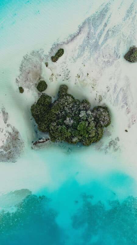 Bacalar & Cenotes: 3 hours kayak rental with snorkeling gear - Picking a launch time from 6 am to 7 pm