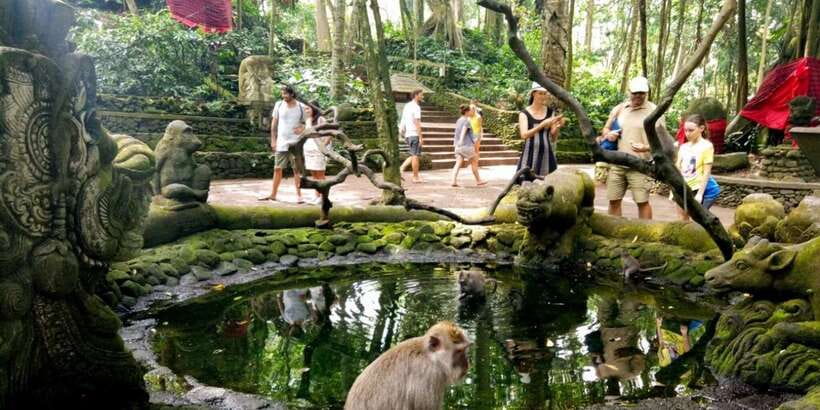 Bali: ATV Gorilla Cave, Ubud Monkey Forest, & Waterfall Tour - A welcome break after the mud