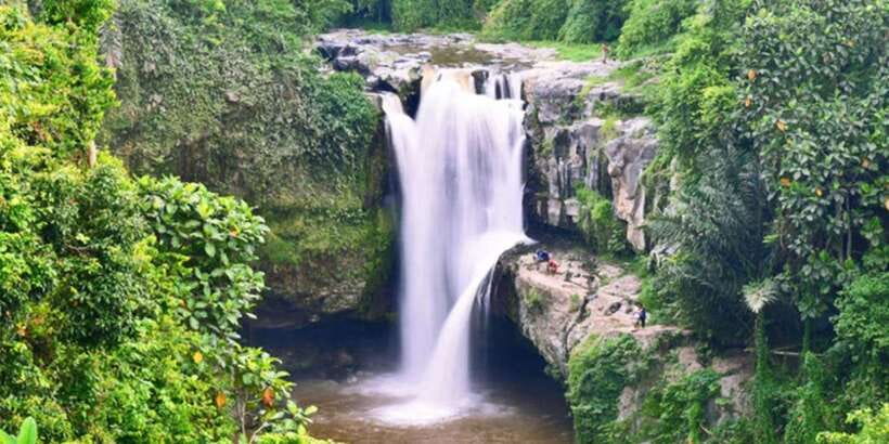Bali: ATV Gorilla Cave, Ubud Monkey Forest, & Waterfall Tour - What to bring and what not to expect