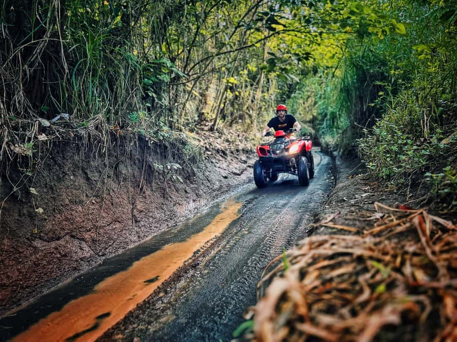 Bali: Ubud Gorilla Cave Track ATV & Waterfall Tour with Meal - Gorilla Face Cave and the limits of the attraction