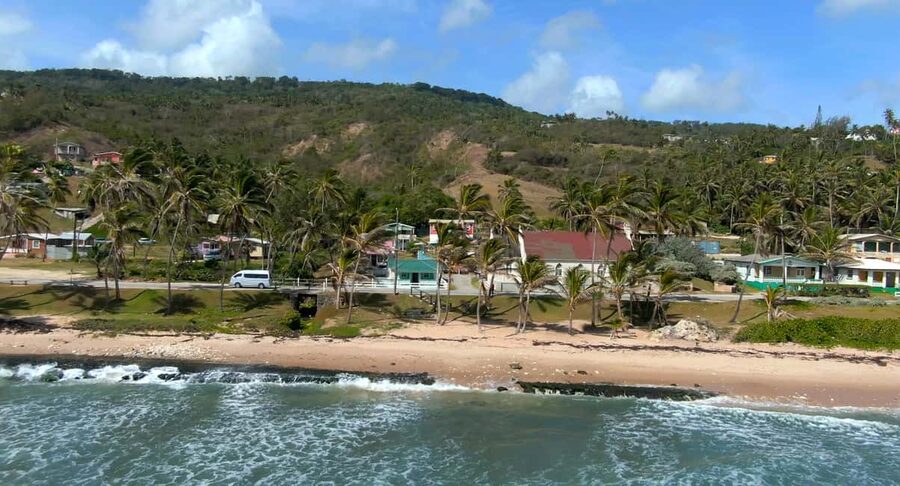 Barbados: Island Tour with Animal Flower Cave and Lunch - The guides make the long drive enjoyable