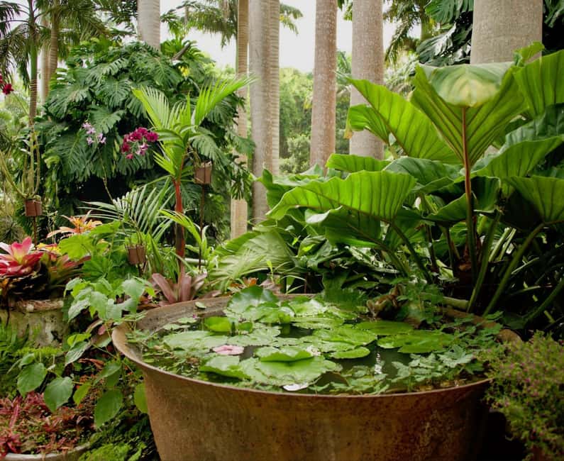 Barbados: Tour of Harrison's Cave & Hunte's Gardens - Key points to know before booking
