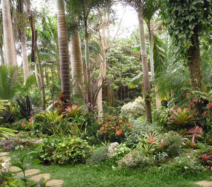 Barbados: Tour of Harrison's Cave & Hunte's Gardens - Why this cave-and-garden pairing works