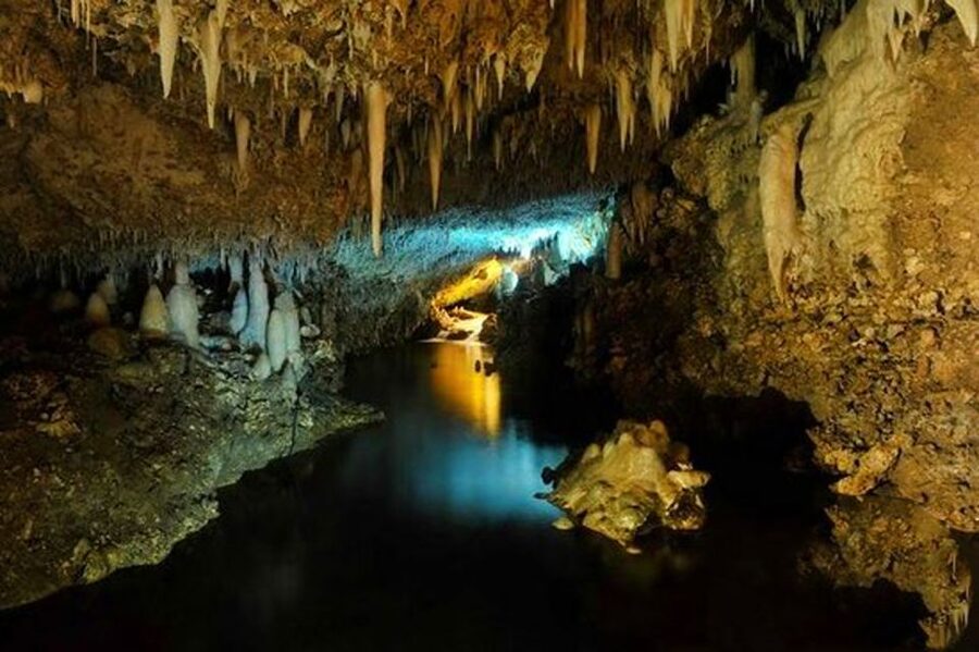 Barbados: Tour of Harrison's Cave & Hunte's Gardens - Refreshments with a Barbados touch