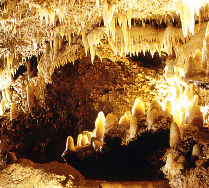 Barbados: Tour of Harrison's Cave & Hunte's Gardens - Should you book it?