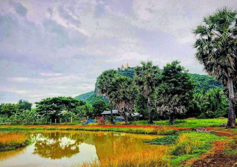 Battambang: Bamboo Train, Bat Cave, Killing Cave by Tuk Tuk - Who should book this tour