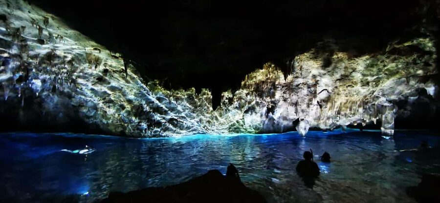 Bayahibe: National Park Jungle Walk & Snorkeling in Cenotes - Walking through Cotubanama National Park