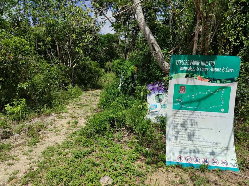 Bayahibe: National Park Jungle Walk & Snorkeling in Cenotes - Descending into the blue water