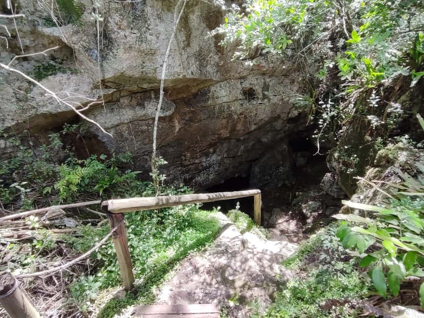 Bayahibe: National Park Jungle Walk & Snorkeling in Cenotes - The return walk and the simple aperitif