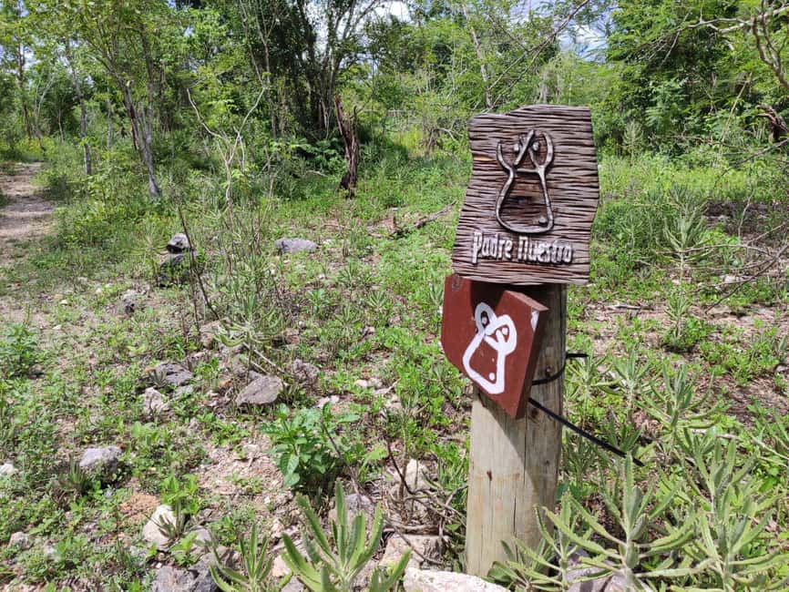 Bayahibe: National Park Jungle Walk & Snorkeling in Cenotes - What the $55 price includes