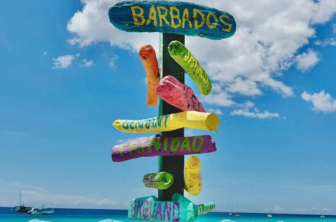 Beautiful Barbados: Harrisons Cave & Beach Day Tour - Who will enjoy this Barbados excursion?