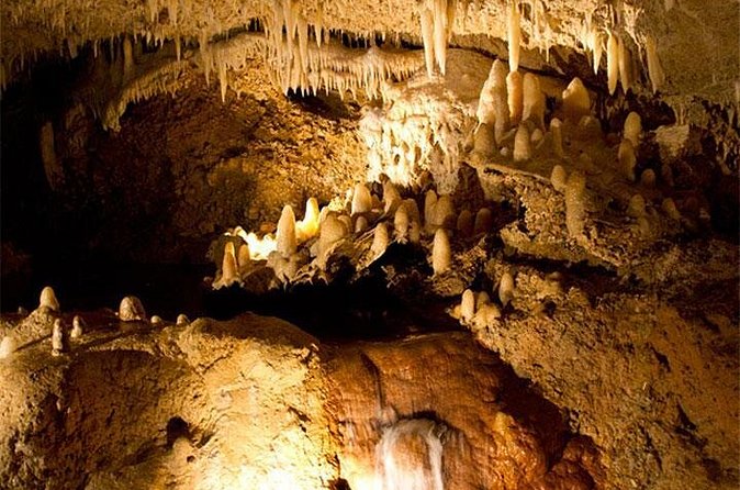 Beautiful Barbados: Harrisons Cave & Beach Day Tour - Should you book Harrison’s Cave and the beach?