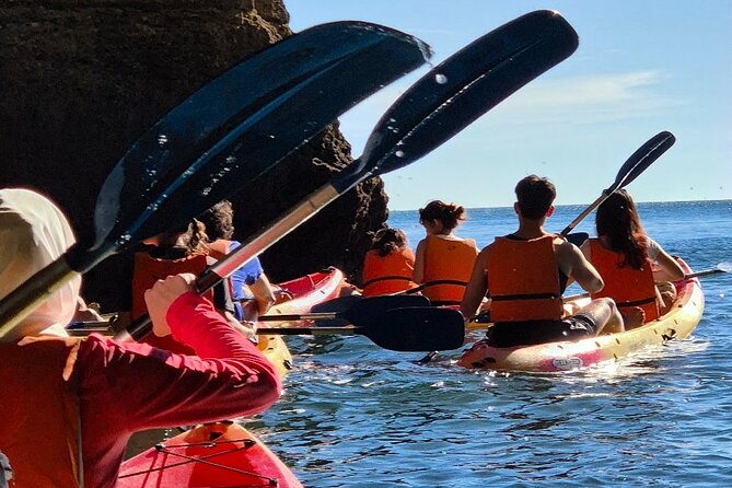 Benagil: Caves, Beaches, and Secret Spots Guided Kayak Tour - From Benagil Beach into the sea