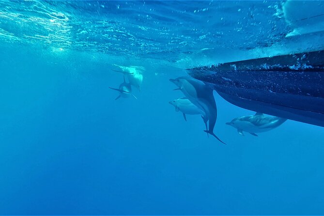 Benagil Caves Visit with Dolphins Watching from Albufeira - Entering Algar de Benagil
