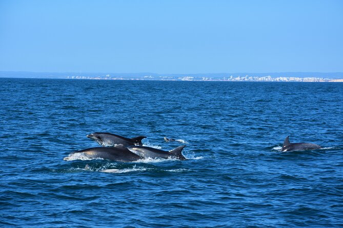 Benagil Caves Visit with Dolphins Watching from Albufeira - Leaving Albufeira Marina toward Armação de Pêra