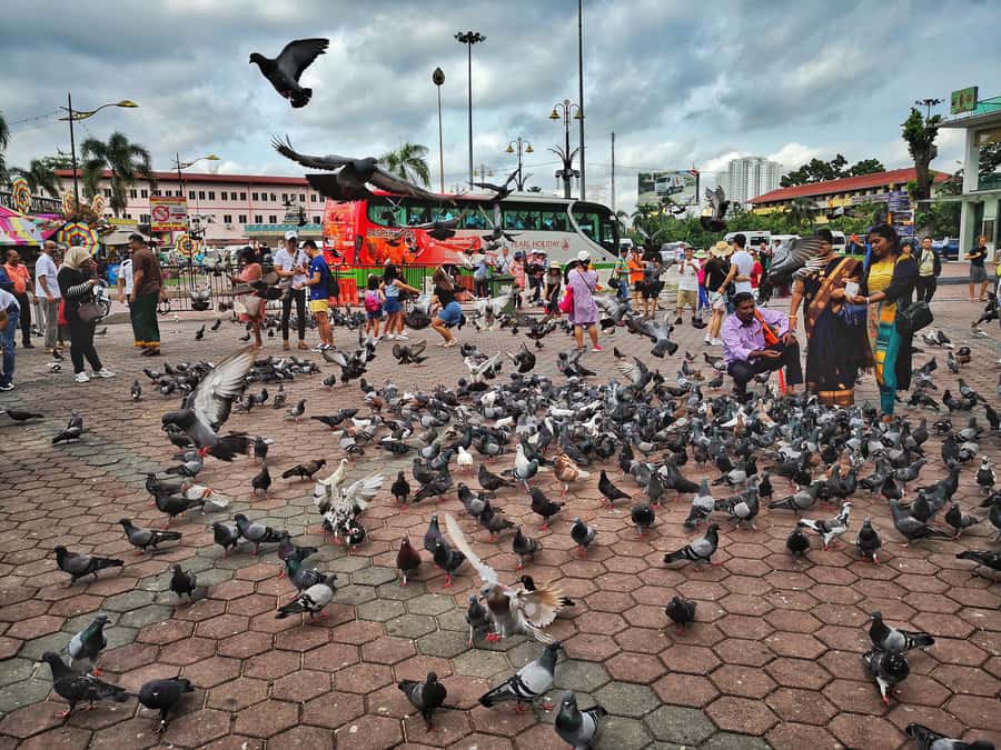 Best of Kuala Lumpur Tour with KL Tower & Batu Caves - Does $148 per person offer good value?