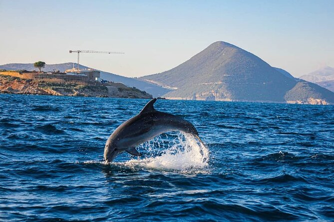 Blue Cave Kotor & Lady of the Rocks Private Tour (up to 9 people) - Mamula Island, a fortress seen from the water