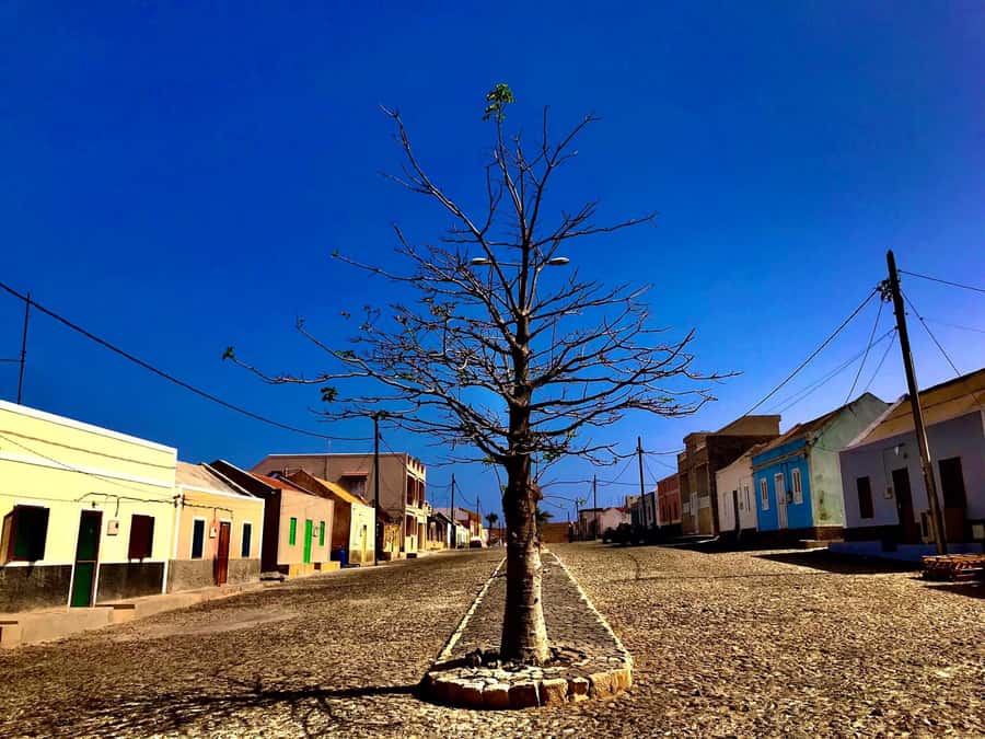Boa Vista: Santa Monica, Dunes, Caves and Village 4x4 Tour - Varandinha’s caves are the most dramatic stop