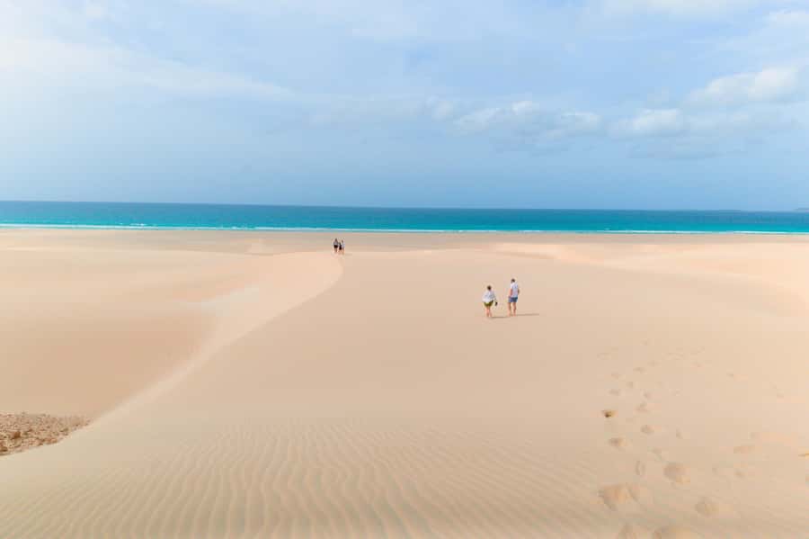 Boa Vista: Shark, Turtles, Cave, Sandboarding & Tasting Tour - Who should book this experience?