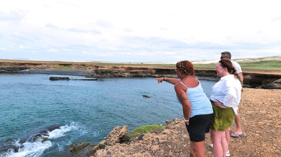 Boa Vista: Shark, Turtles, Cave, Sandboarding & Tasting Tour - The guides make the difference