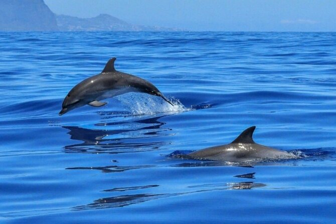 Boat tour Giardini Naxos Taormina Isola Bella Blue Grotto - Prosecco, almond sweets, and the onboard mood