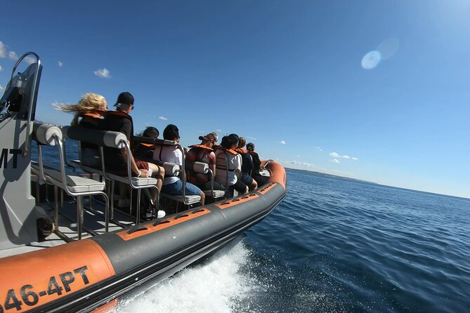 Boat trip to the caves of Benagil - Guides, boat handling, and the human side of the tour