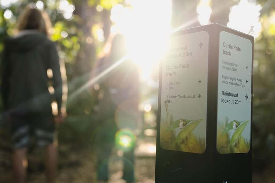 Brisbane: Rainforests, Waterfalls and Glow Worm Cave Tour - What the guides add to the experience