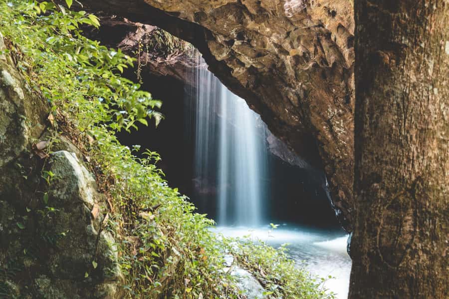 Brisbane: Rainforests, Waterfalls and Glow Worm Cave Tour - Why this day trip works from Brisbane